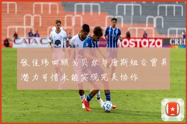 张佳玮回顾戈贝尔与唐斯组合曾具潜力可惜未能实现完美协作