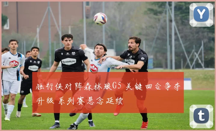独行侠对阵森林狼G5 关键回合争夺升级 系列赛悬念延续