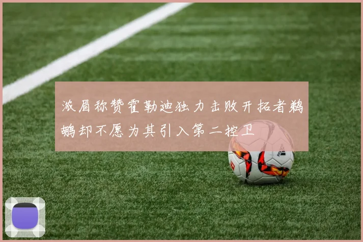 浓眉称赞霍勒迪独力击败开拓者鹈鹕却不愿为其引入第二控卫