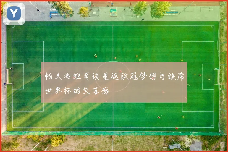 帕夫洛维奇谈重返欧冠梦想与缺席世界杯的失落感