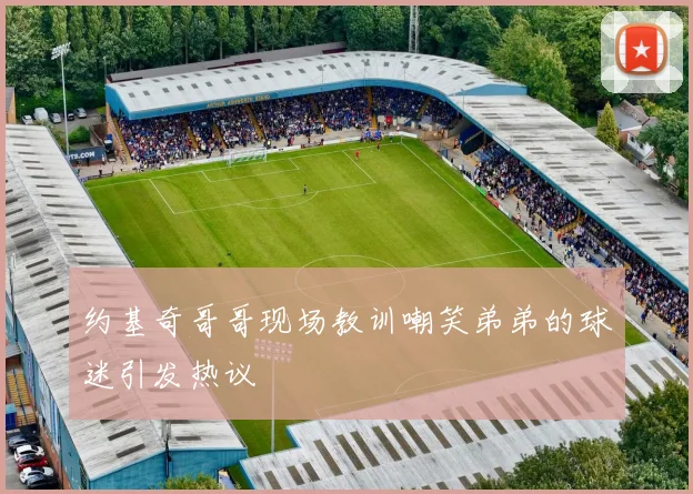 约基奇哥哥现场教训嘲笑弟弟的球迷引发热议